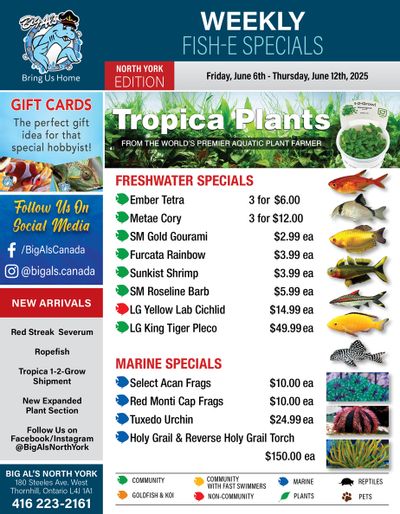 Big Al's (North York) Weekly Specials June 6 to 12