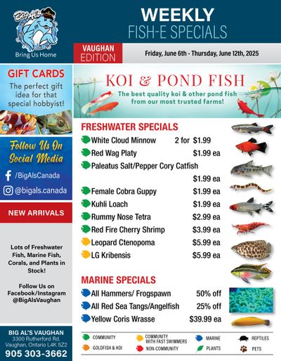 Big Al's (Vaughan) Weekly Specials June 6 to 12