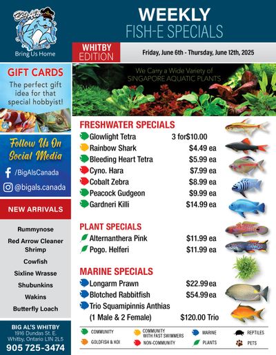 Big Al's (Whitby) Weekly Specials June 6 to 12 Big Al's (Whitby) Weekly Specials June 6 to 12