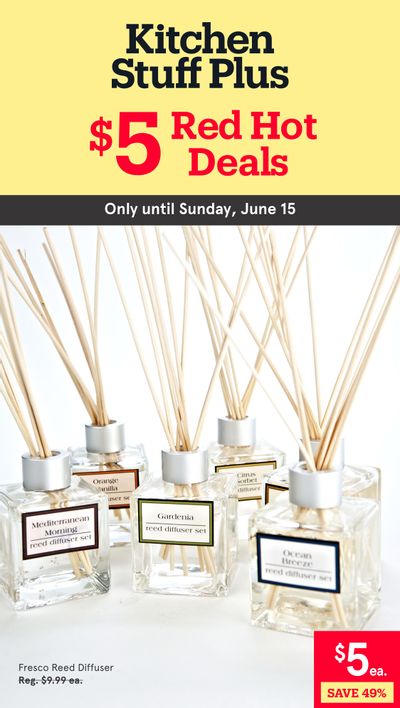 Kitchen Stuff Plus Red Hot Deals Flyer June 9 to 15