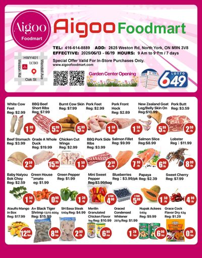 Aigoo Foodmart Flyer June 13 to 19