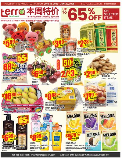 Terra Foodmart Flyer June 13 to 19
