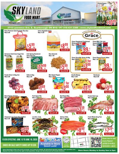 Skyland Food Mart Flyer June 13 to 19