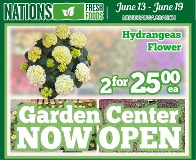 Nations Fresh Foods (Mississauga) Flyer June 13 to 19