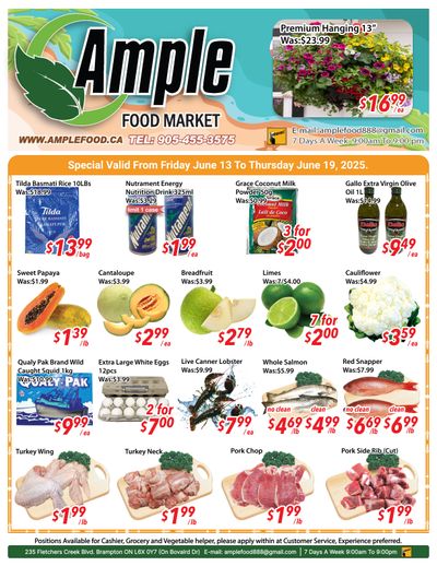 Ample Food Market (Brampton) Flyer June 13 to 19