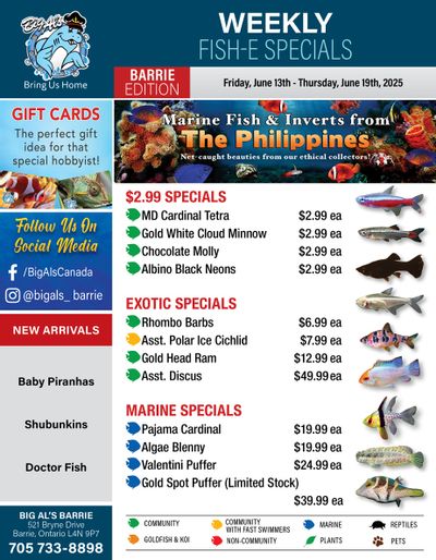 Big Al's (Barrie) Weekly Specials June 13 to 19