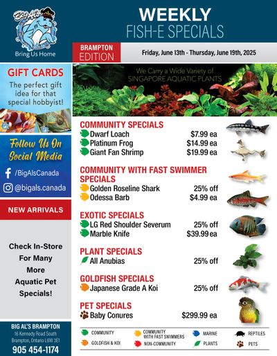 Big Al's (Brampton) Weekly Specials June 13 to 19