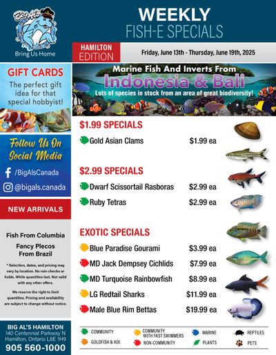 Big Al's (Hamilton) Weekly Specials June 13 to 19