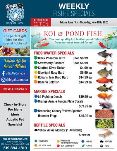 Big Al's (Kitchener) Weekly Specials June 13 to 19