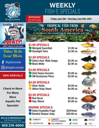 Big Al's (Mississauga) Weekly Specials June 13 to 19