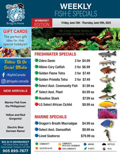 Big Al's (Newmarket) Weekly Specials June 13 to 19