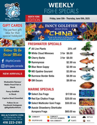 Big Al's (North York) Weekly Specials June 13 to 19