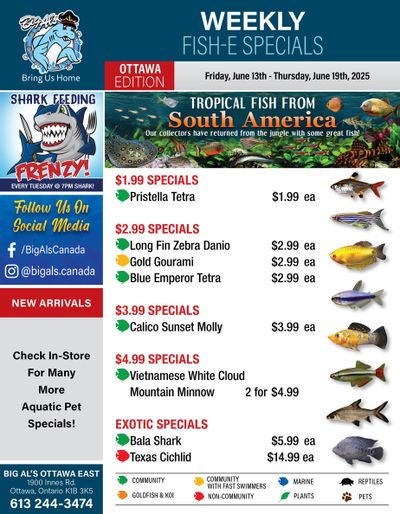 Big Al's (Ottawa) Weekly Specials June 13 to 19
