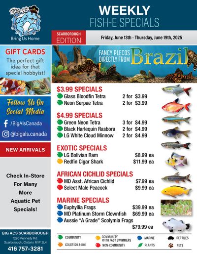 Big Al's (Scarborough) Weekly Specials June 13 to 19