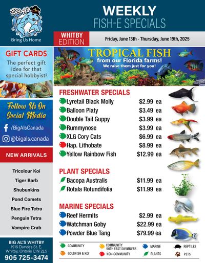 Big Al's (Whitby) Weekly Specials June 13 to 19 Big Al's (Whitby) Weekly Specials June 13 to 19