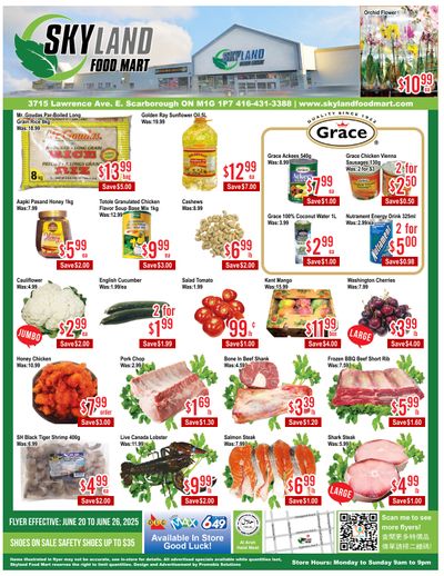 Skyland Food Mart Flyer June 20 to 26