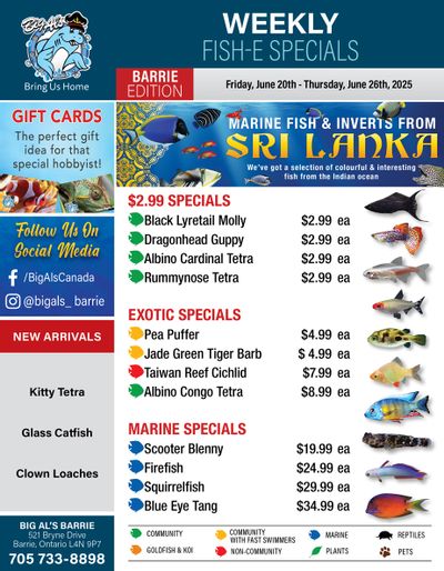 Big Al's (Barrie) Weekly Specials June 20 to 26