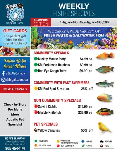 Big Al's (Brampton) Weekly Specials June 20 to 26