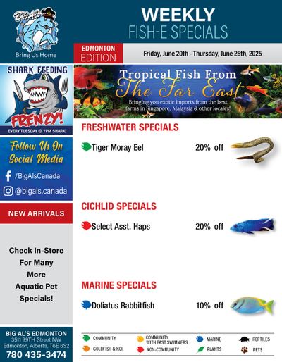 Big Al's (Edmonton) Weekly Specials June 20 to 26