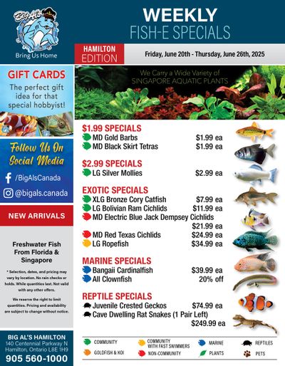 Big Al's (Hamilton) Weekly Specials June 20 to 26