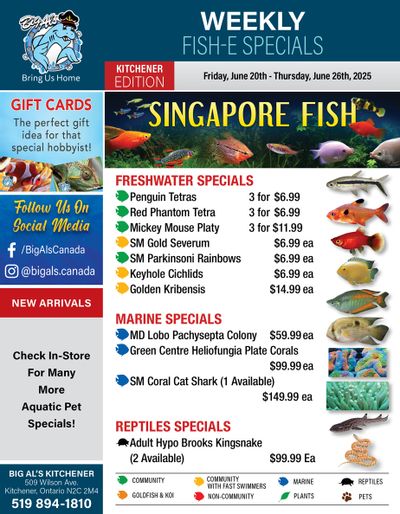 Big Al's (Kitchener) Weekly Specials June 20 to 26
