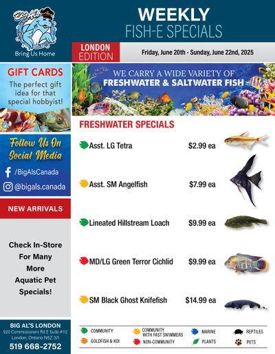 Big Al's (London) Weekly Specials June 20 to 26