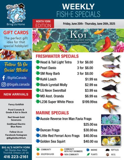 Big Al's (North York) Weekly Specials June 20 to 26