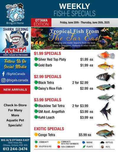 Big Al's (Ottawa) Weekly Specials June 20 to 26