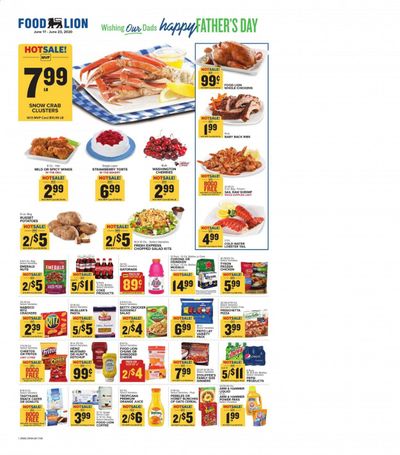 Food Lion Weekly Ad & Flyer June 17 to 23