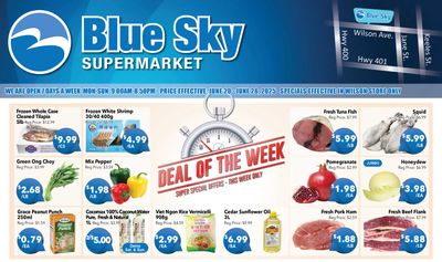 Blue Sky Supermarket (North York) Flyer June 20 to 26