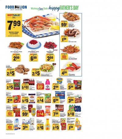 Food Lion Weekly Ad & Flyer June 17 to 23