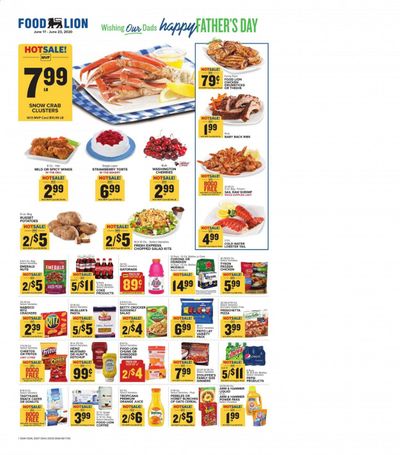 Food Lion Weekly Ad & Flyer June 17 to 23