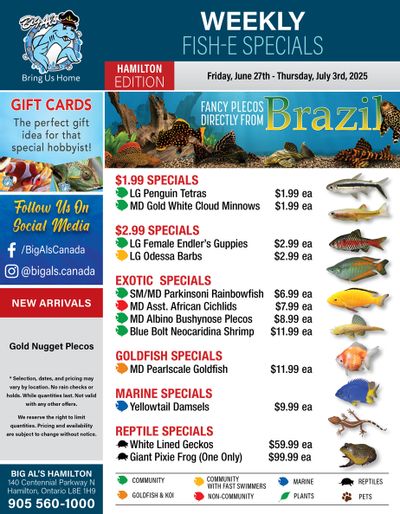 Big Al's (Hamilton) Weekly Specials June 27 to July 3