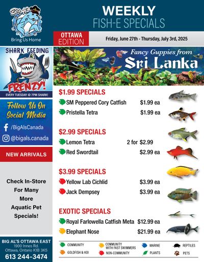 Big Al's (Ottawa) Weekly Specials June 27 to July 3