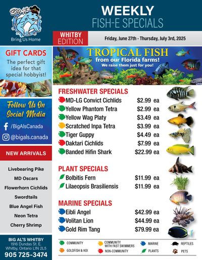 Big Al's (Whitby) Weekly Specials June 27 to July 3