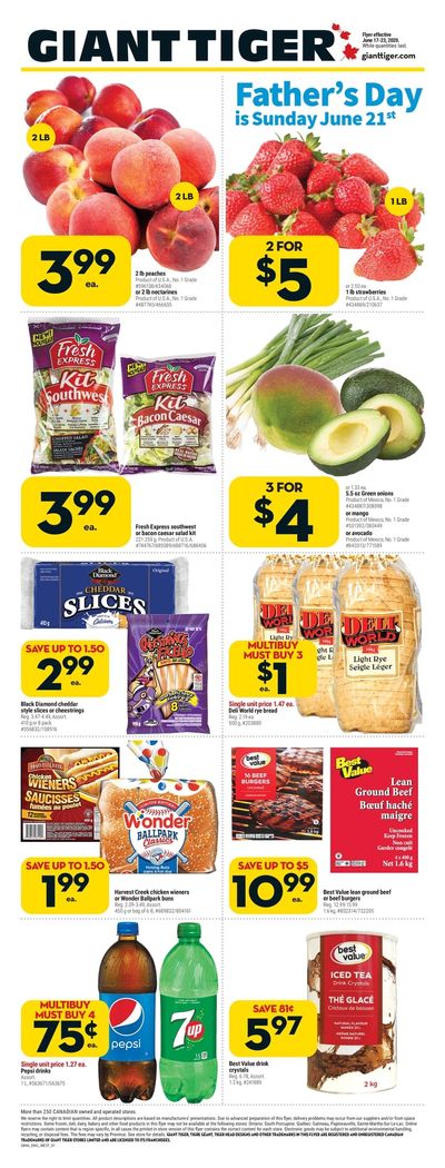 Giant Tiger (West) Flyer June 17 to 23