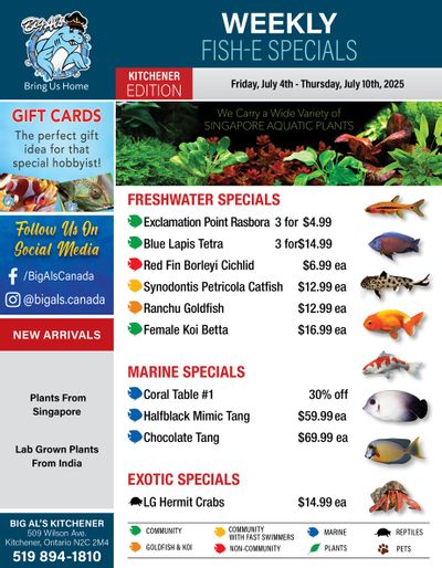 Big Al's (Kitchener) Weekly Specials July 4 to 10