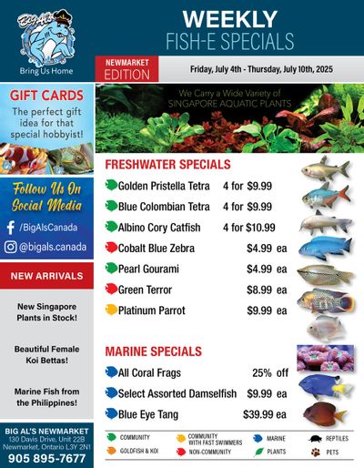 Big Al's (Newmarket) Weekly Specials July 4 to 10