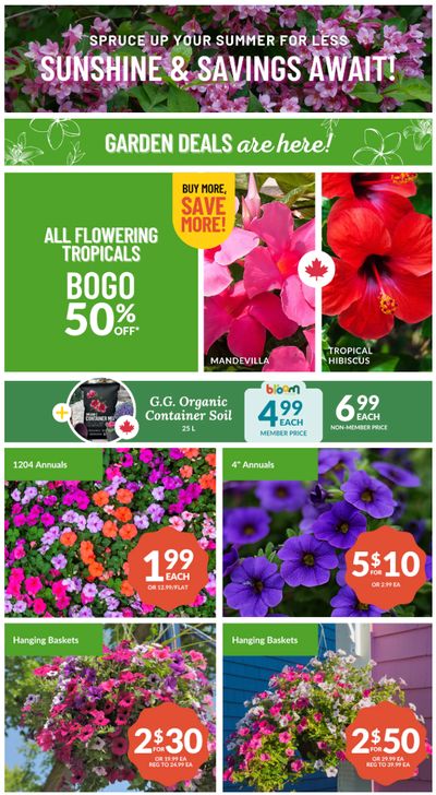 Lakeside Garden Gallery Flyer July 4 to 10 Lakeside Garden Gallery Flyer July 4 to 10
