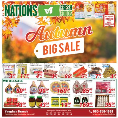 Nations Fresh Foods (Vaughan) Flyer November 8 to 14