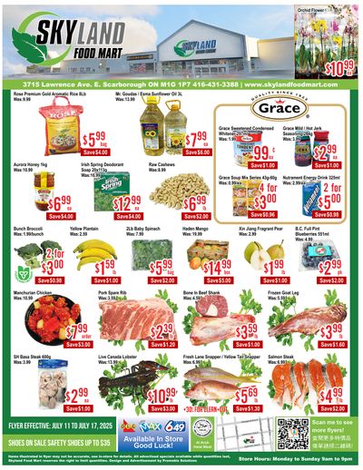 Skyland Food Mart Flyer July 11 to 17