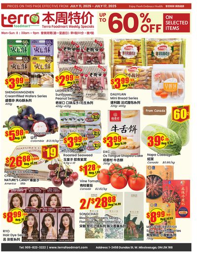 Terra Foodmart Flyer July 11 to 17