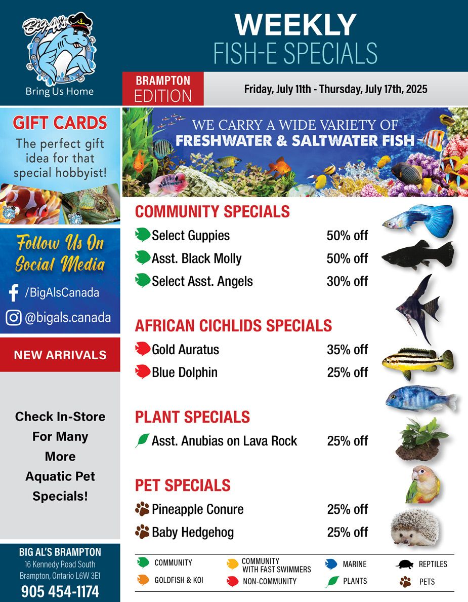 Big Al's (Brampton) Weekly Specials July 11 to 17