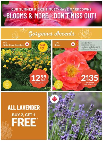 Lakeside Garden Gallery Flyer July 11 to 17
