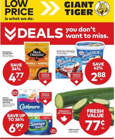 Giant Tiger Canada Flyer Deals July 16th – 22nd
