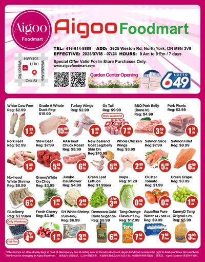 Aigoo Foodmart Flyer July 18 to 24