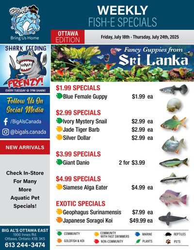Big Al's (Ottawa) Weekly Specials July 18 to 24