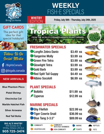 Big Al's (Whitby) Weekly Specials July 18 to 24
