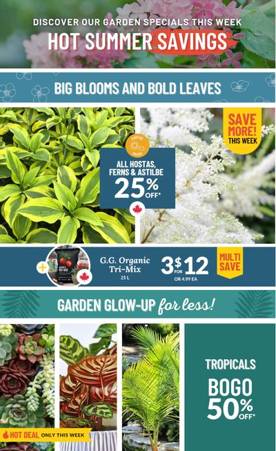 Lakeside Garden Gallery Flyer July 18 to 24