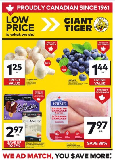 Giant Tiger Canada Flyer Deals July 23rd – 29th